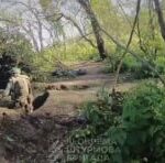 Гибель Героя: Российский боец при штурме врагом блиндажа подорвал себя и забрал …