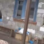 Умер в больнице корреспондент телеканала «Россия 24» Борис Максудов.Накануне он …