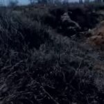 Вчера в Крынках на нашем берегу Днепра взяли в плен поляка, который за деньги пр…