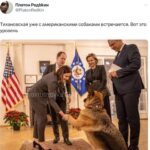 Уровень тихановской) ей бы еще Панина в команду, было бы супер! #баргузин #Украи…
