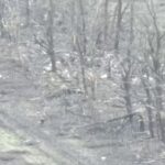 Российский военнослужащий палкой отбился от FPV-дрона.Кто еще надеется на западе…