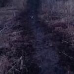 ВАЖНО: На Белгородском фронте враг начал разбрасывать с дронов миныНаши бойцы с …