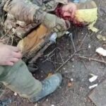 Вот и тела бойцов ГУР Украины на границе с Белгородской областью.Собственно, об …