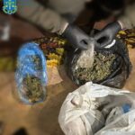 Из жизни  львовских патриотов.На Прикарпатье полицаи накрыли сеть нарколаборатор…