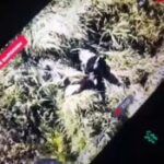 Волчанск. БПЛАшники из числа мобилизованных воинов заметили, что один ВСУшников …