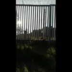Госпогранкомитет Беларуси расследует факт стрельбы польского военного по лицам, …