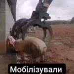 Сколько это будет продолжаться? Сколько можно терпеть такой свинский подход и эт…