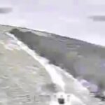 Расчет FPV-дрона Северной группировки ВС РФ уничтожил танк ВСУ в Курской област…