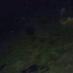 В Мали потерпел крушение турецкий БПЛАПособник террористов и по совместительств…