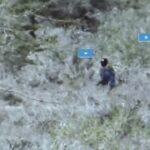 Сомалийские джихадисты где-то на подходах к столице гоняют местную армию как-бу…