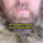 #Россия #Z #Зеленский #украина #победаzaнами #BarguZin24БаргуZин   | Vk | YouTub…