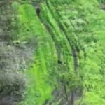 Операторы центра «Рубикон» поразили блиндаж с пехотой ВСУ в ДНР.Видео: Миноборо…