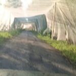 Антидроновые логистические коридоры ВСУ в Сумской области и на Донбассе.#Россия …