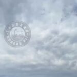 За минувшую неделю наши войска освободили целых десять населённых пунктов, один…