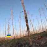 Российские войска продвигаются после освобождения Серебрянского лесничества в Л…