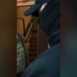 Правоохранители задержали жителя Петербурга, организовавшего поджог вышки сотов…