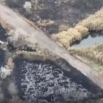 Кадры из освобожденной Павловки в Запорожской области оказались в распоряжении …