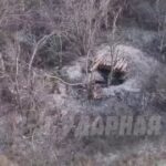 Что за тигр!Боец ВС РФ сначала закидывает «робот-пылесос», а спокойно сбивает ук…
