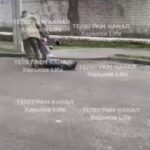 Мобилизация в Харькове.ТЦКашники уже тянут всё, что может хотя бы немного подава…