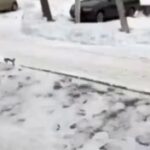 Реактивная «Герань» летит по своим важным делам.@belarusian_silovik…