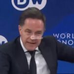 Рютте в ответ Стуббу:Алекс, я люблю тебя, но ты не производишь достаточно для св…