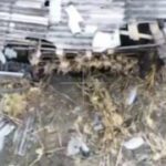 ВС РФ уничтожили американскую гаубицу М119 у Северска, сообщили в МО РФ.Видео: …