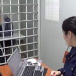 Следствие попросит ареста 53-летнего жителя Саратовской области, задержанного з…