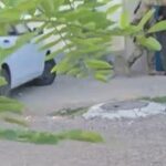ФСБ опубликовала кадры задержания жителя Крыма, который по заданию СБУ печатал у…