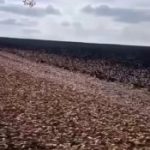 Свободный украинец перелетает на мотопараплане из свободной Украины в Молдову.Ко…