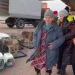 В белорусском Гомеле приземлилось уже четыре российских борта с людьми из Алешек…