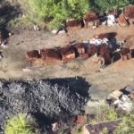 ВСУ с помощью тяжелых дронов дистанционно минируют улицы в Константиновке ДНР, …