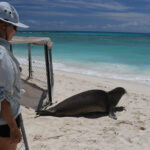 Five ways to take action on World Oceans Day